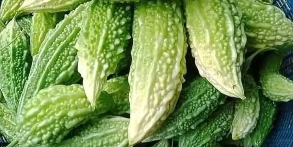 Sayur Pare, Foto: Mita/Siberbengkulu.co