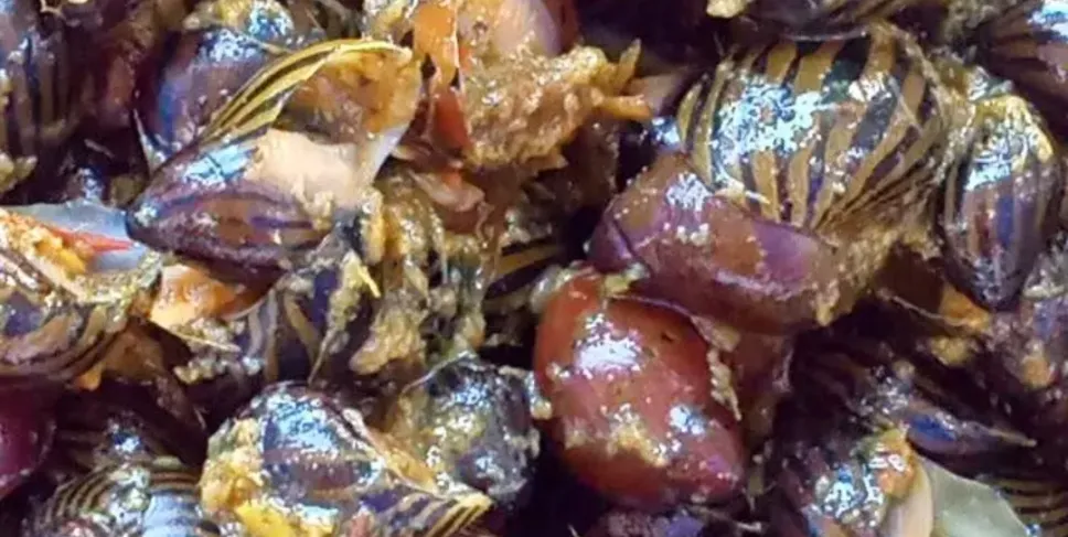 Rendang Siput Sia. (Foto: Lentera)