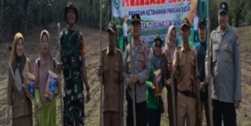 Pemdes Cugung Lalang Laksanakan Program Ketahanan Pangan Tahun 2025. Foto: Ibnu/Siberbengkulu.co